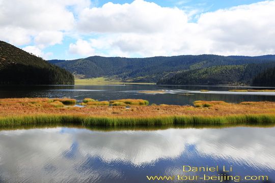 Shudu Lake is dotted with swamped yellow meadows 