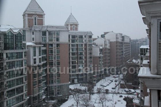 Snow in our housing area seen from window in the north