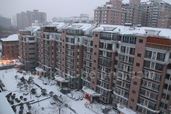 Beijing Snow 2011, the First Snow in Beijing for the year 2011