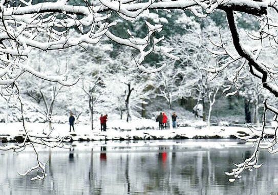 Inverted snow scene reflected on the water.