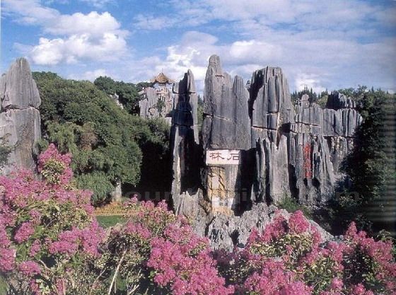 Stone Forest: A Dizzying and Unique Tourist Spot in China