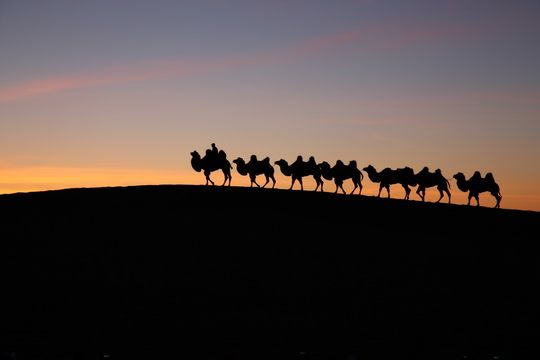 Sunrise over the sand dunes with camels on the top