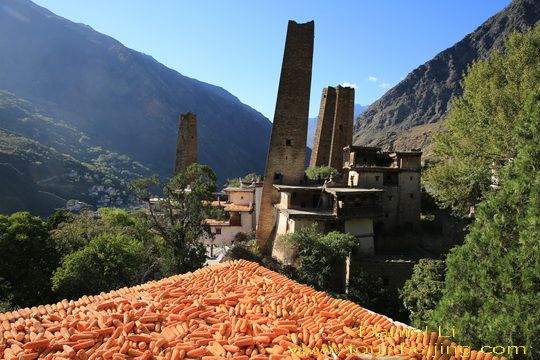 Suopo Watchtowers