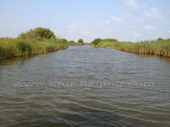 Taking a boat and passing the reed marshes the Yellow River Reserve.