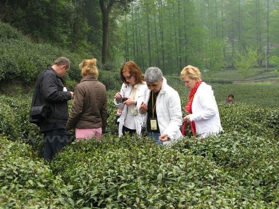 Hangzhou World Heritage, World Cultural Heritage in Hangzhou