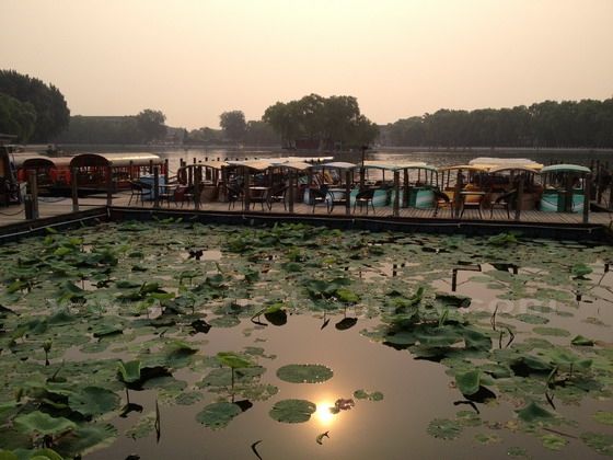 The rising sun casts its reflection the Qianhai Lake dotted with the floating lotus leaves.