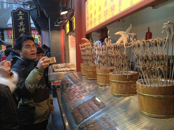 The skewered scorpions, sea horses and star fishes 