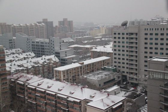 The snow lightly coated buildings