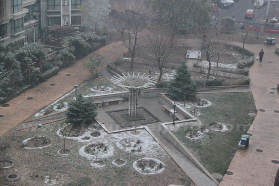 First Snow 2011-2012 Winter Beijing