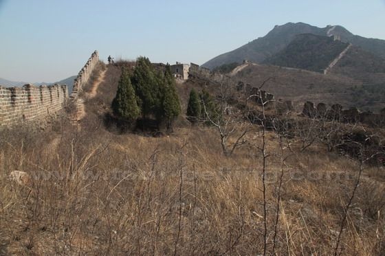 The so called Wild City is a four-sided wall, now rife with bushes and saplings.