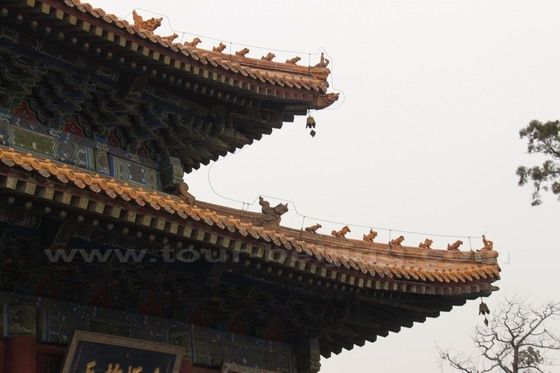 The splendidly built eaves with mythical animals