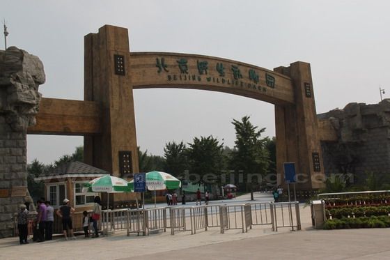 This is the entrance gate to Beijing Wildlife Park.