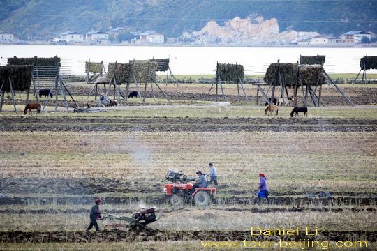 Tibetan farmers