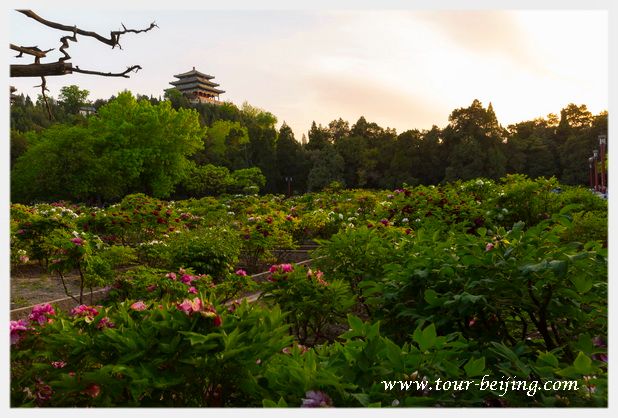 Beijing in April Travel Guide (Weather, Wear, Events & Tips)