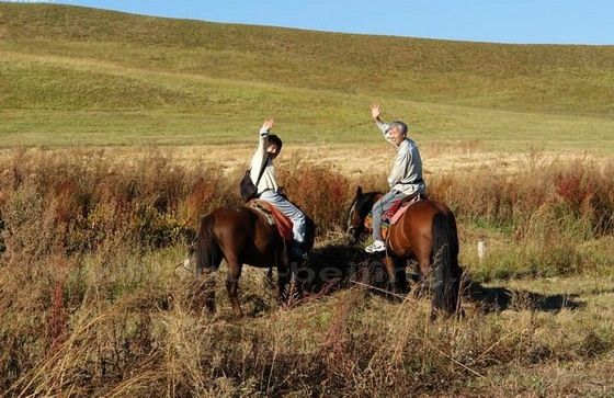 Visitors can enjoy riding horses freely on the grassland