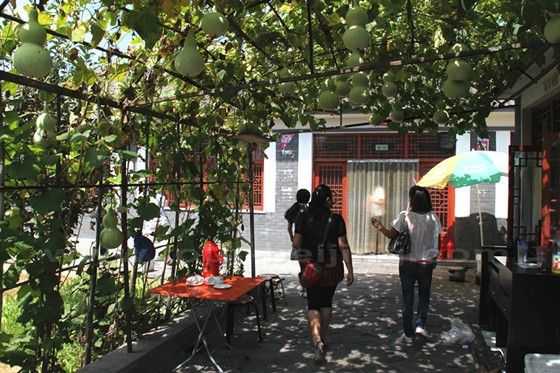 Walking under the sun shelter formed by vigorous gourd vines.