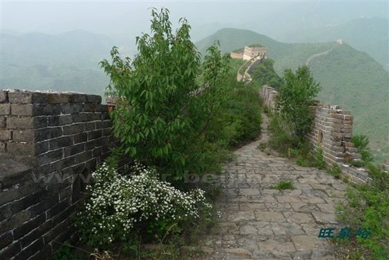 Wangquanmen is green and colorful