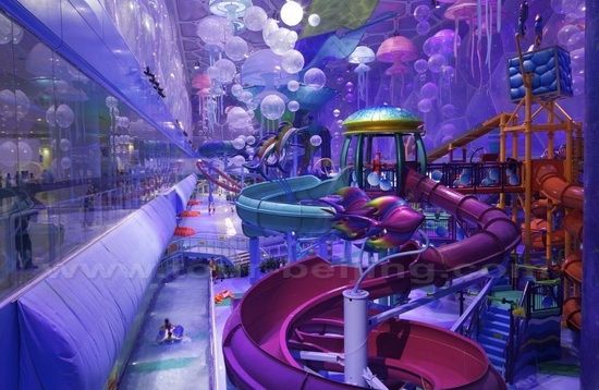  Water World in the Water Cube