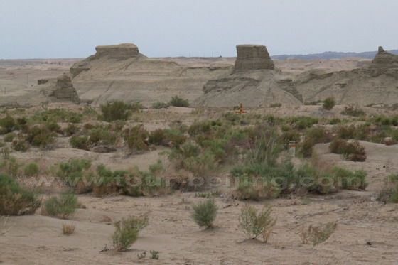 What do these small hills look like,  Ha!