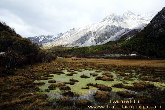 Yading Marshland