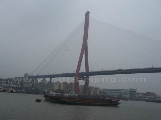 Yangpu Bridge1