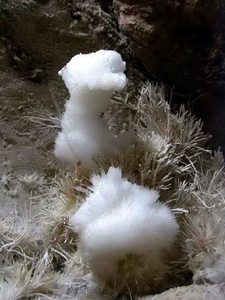 Yinhu Cave ( Silver Fox Cave)