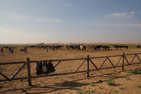 a horse riding district