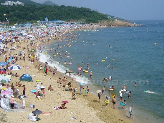 What to see in Dalian, what to do in Dalian