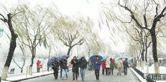 Hangzhou's West Lake Snow Wonderland
