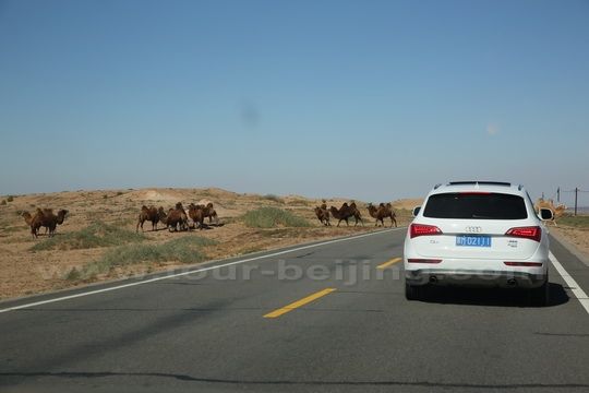 Badain Jaran Desert