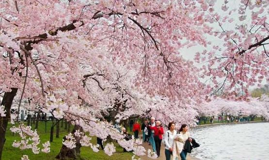 When is the best time to visit Dalian?