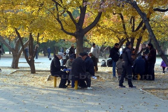 Autumn Ditan 3