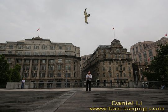 Flying an eagle-like kite.