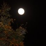 Moon Festival, Moon Day 2010