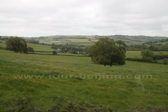 green field