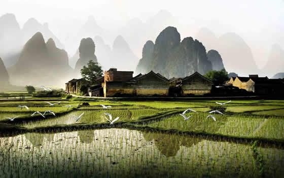 The Best Time to Visit China