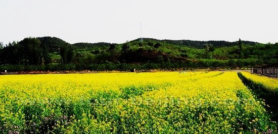 Zhongtian Hanhai Agricultural Sightseeing Garden 