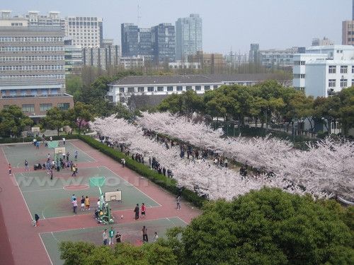 When is the best time to visit Shanghai?
