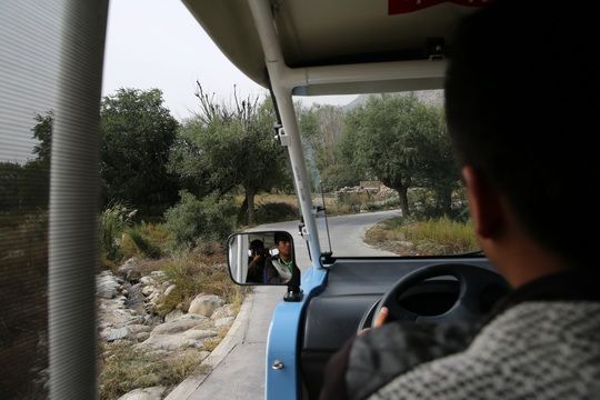  take an electric car going from the rock art museum to the site 