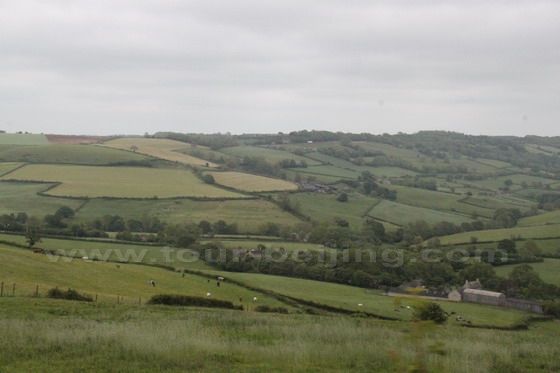 the field