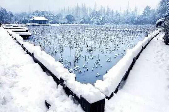 Beautiful Geometry of a Snow Triangle