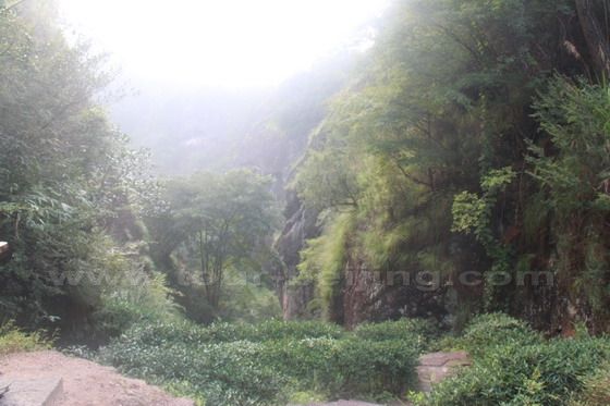 we were in the Jiulongke Valley