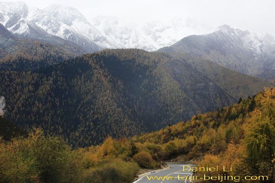 Yala Mountain 
