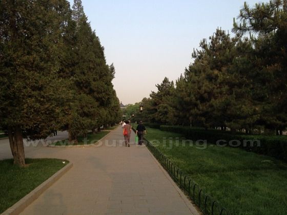 Morning Stroll in Temple of Heaven